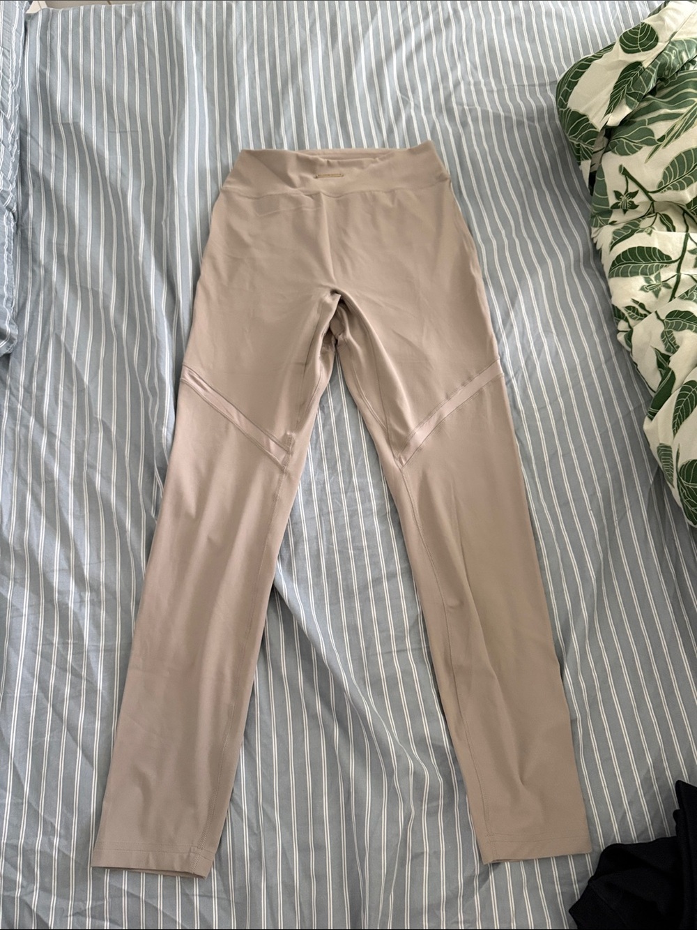 New gymshark x Whitney Simmons collab mesh leggings size medium mink